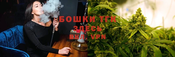 гидропоника Белокуриха