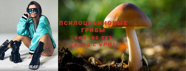 jwh Беломорск