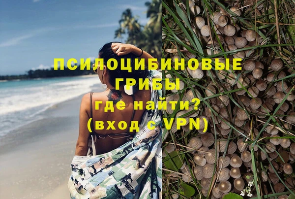 крисы Белоозёрский