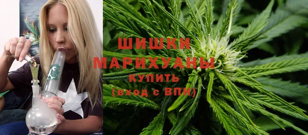 крисы Белоозёрский
