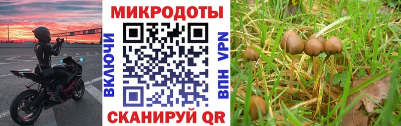Псилоцибиновые грибы Magic Shrooms где купить Гаврилов-Ям